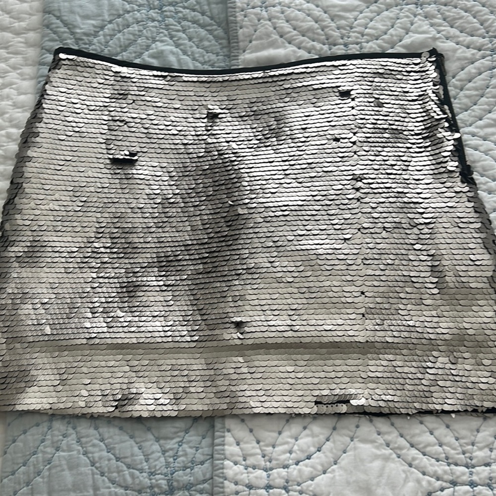 Metallic Zara Skirt